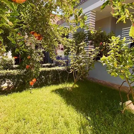 Antigone 3* טיראנה