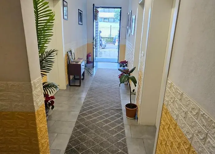 Antigone 3* Тирана