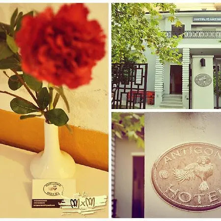 安提戈涅酒店 酒店 地拉那