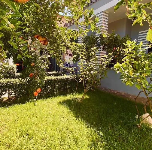 Antigone 3* 티라나